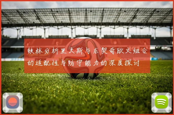铁林分析里夫斯与东契奇欧文组合的适配性与防守能力的深度探讨
